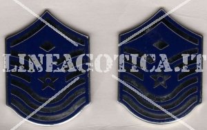 US AIR FORCE MOSTRINE (COPPIA) E-7 FIRST MASTER SERGEANT