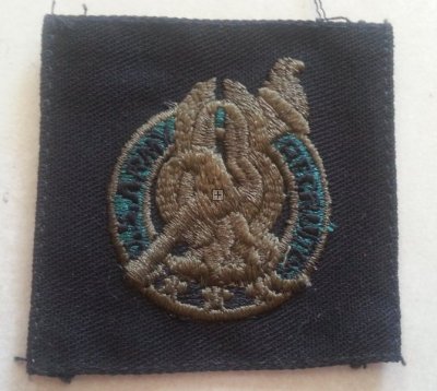 US ARMY RECRUITER BRANCH SUBDUED ORIGINAL